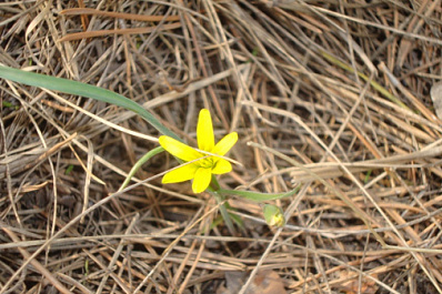 В Самаре нашли способ ликвидировать очаги экологического загрязнения