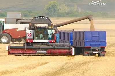 Более миллиона тонн зерна уже намолотили аграрии 63 региона