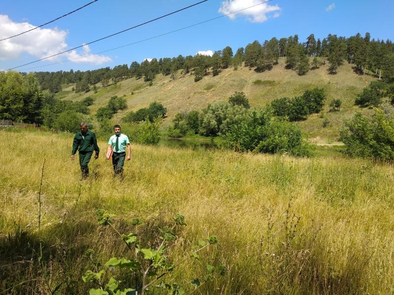 Сотрудники Минлесхоза провели противопожарный рейд на Грушинской поляне