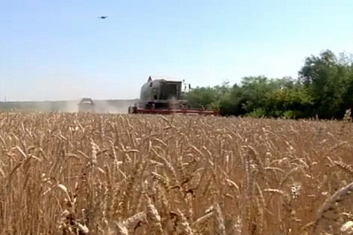 Аграрии Самарской области собрали более 600 тонн зерна