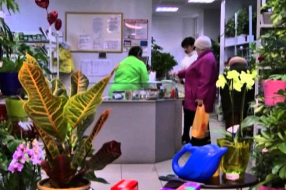 Дачные советы 5.12.2013