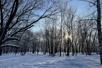 В ожидании снега: в Самарской области на метеостанциях измерили высоту сугробов