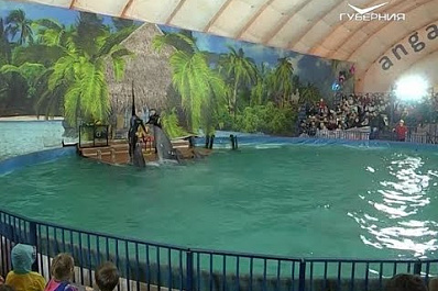 В Самару прибыли "черноморские звезды"