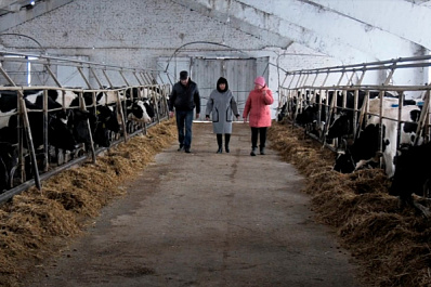 Сельхозкооператив из Исаклинского района первым в России получил господдержку на оздоровление поголовья