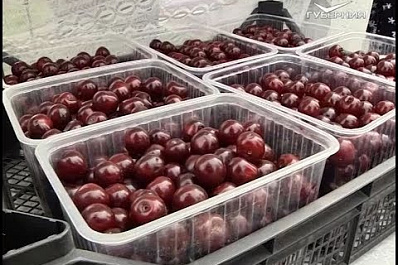 В Самарской области может появиться еще один международный туристический бренд