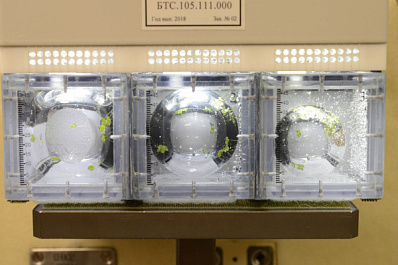 Самарский космонавт Олег Кононенко выращивает на МКС болотную траву