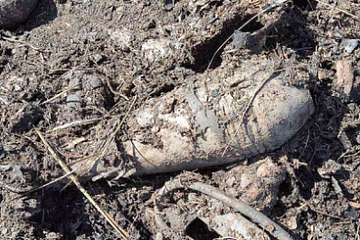 В Самарской области обнаружили схрон с боеприпасами