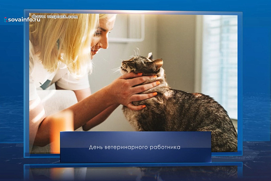 День ветеринара в России. Календарь Губернии от 31 августа