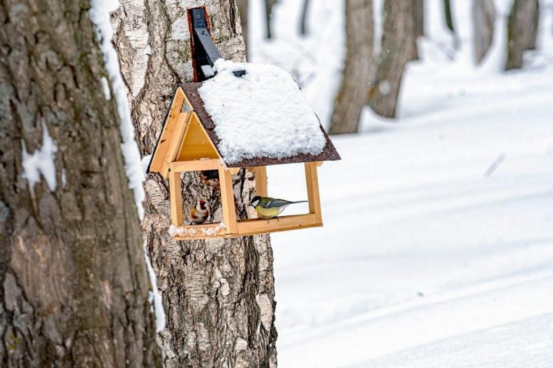 Народные приметы на 12 ноября 2025 года: что нельзя делать в этот день