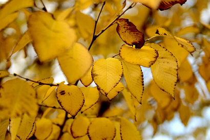 Название статьи