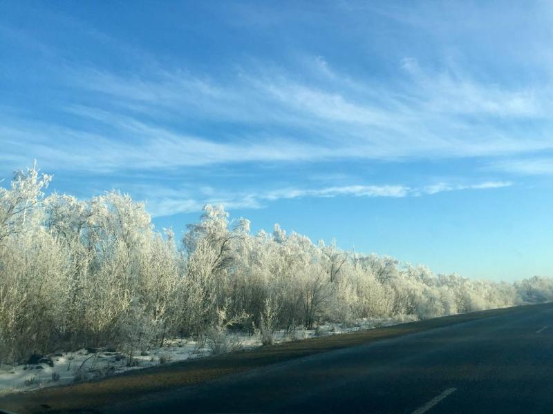 В Самарской области 6 декабря ожидаются морозы ниже -20 градусов 