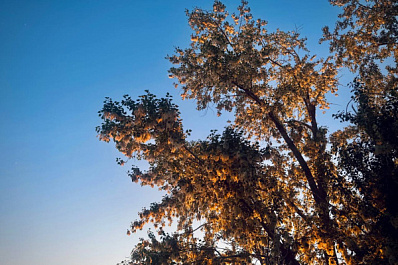 Народные приметы на 31 мая 2025 года: что нельзя делать в этот день