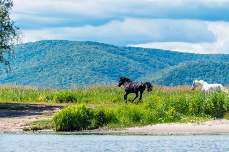 Народные приметы на 20 мая 2025 года: что нельзя делать в этот день