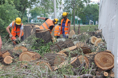Самарцы просидели семь часов без воды из-за тополей