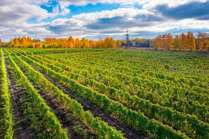 Название статьи