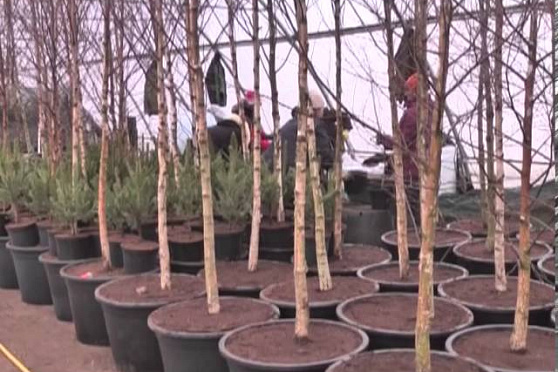 Дачные советы 21.03.2013 