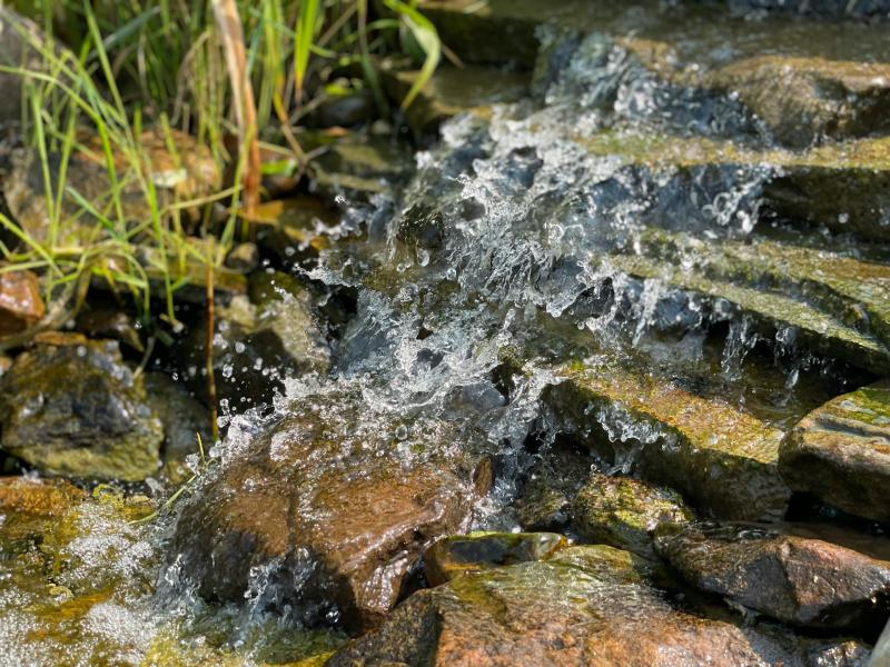 В Роспотребнадзоре рассказали об опасности родниковой воды