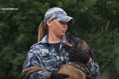 Поиск пропавших людей и запрещенных веществ: кинологи МВД рассказали о работе служебных собак