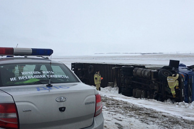 Под Сызранью опрокинулся тягач с породистыми скакунами