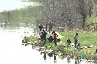 Соревнования по рыбной ловле прошли в Самарской области