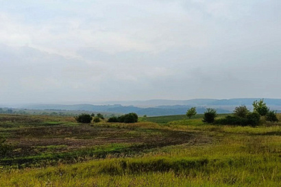 Название статьи