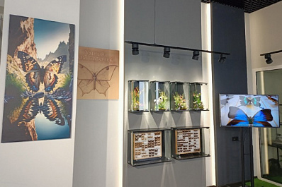 Порхающий интерактив: в Самарском университете презентовали "Умный дом бабочек"