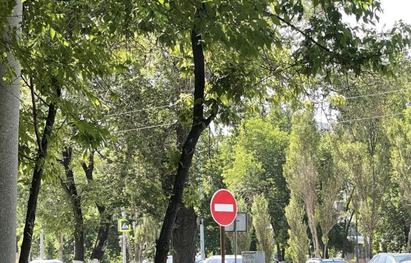 В Тольятти из-за велосипедистов временно перекроют дороги