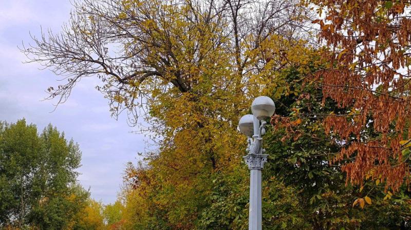 В Самаре может появиться "Сад Лукачева"