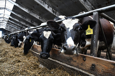 В России появилась новая форма поддержки сельхозтоваропроизводителей