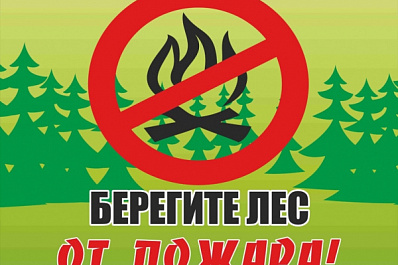 В Самарской области продлен полный запрет на пребывание в лесах