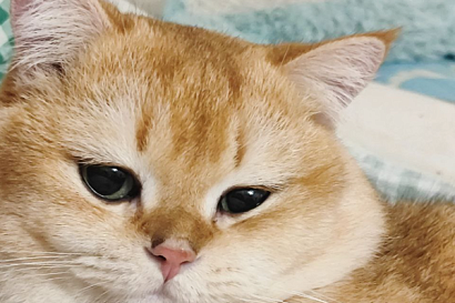 Название статьи