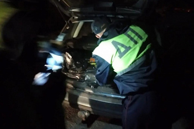 В Самарской области пятерых браконьеров задержали со 130 кг мяса убитого лося 