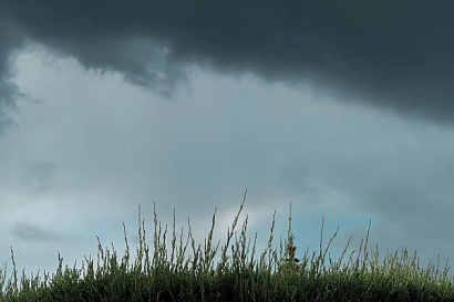 Название статьи