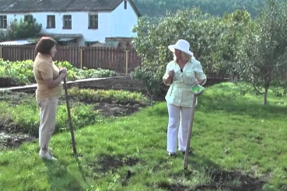 Дачные советы 16.08.2012