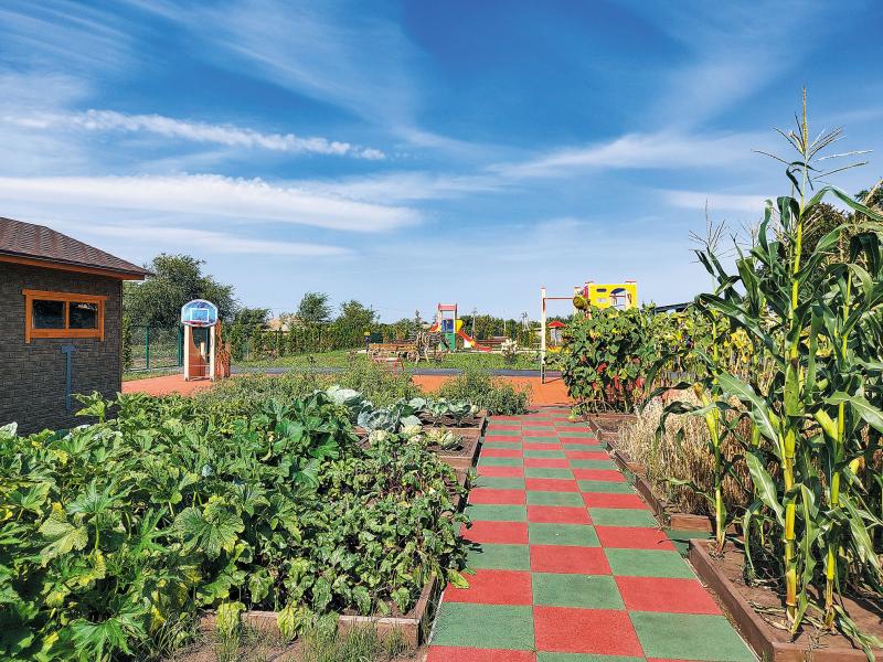 Сельский апгрейд: аграрии Самарской области ставят рекорды