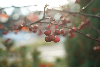 Народные приметы на 18 ноября 2025 года: что нельзя делать в этот день