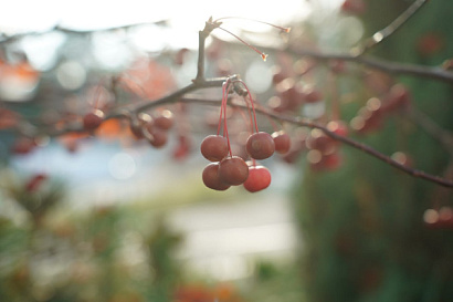 Название статьи