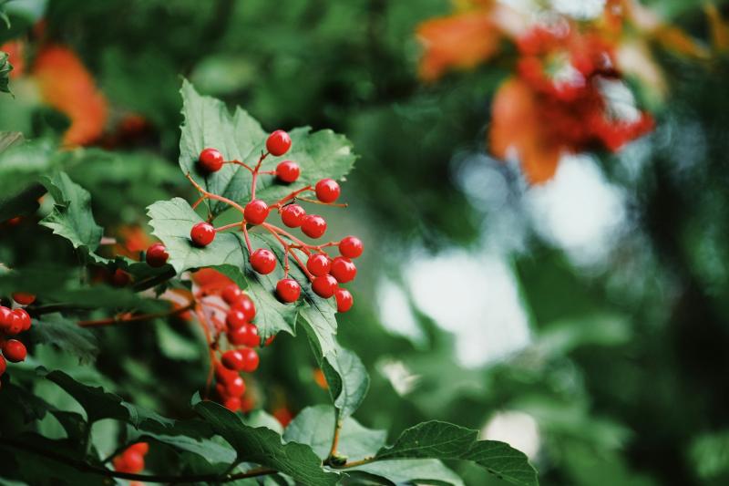 Народные приметы на 11 августа 2025 года: что нельзя делать в этот день