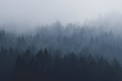 В Самарской области 15 ноября объявили желтый уровень опасности из-за тумана