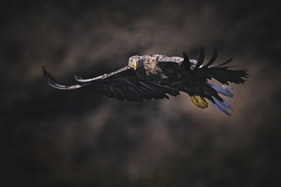 Название статьи