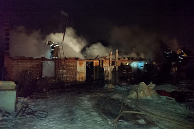 В Самарской области ночью при пожаре погибли 13 домашних животных