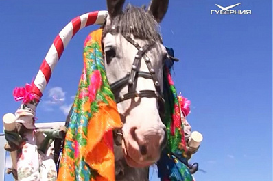 Камышла готова к проведению Всероссийского сельского Сабантуя