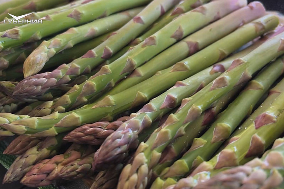 Самарская спаржа. Агрокурьер