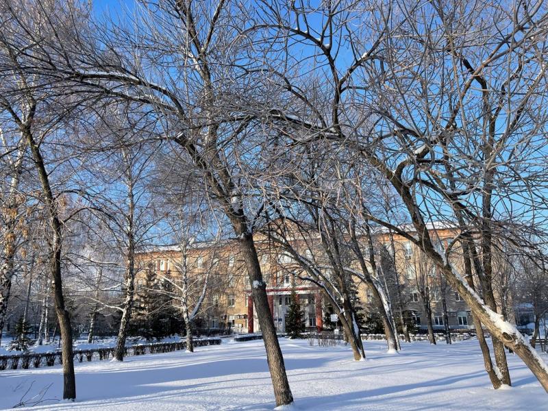 В Самарской области 18 марта ожидается до -6 градусов