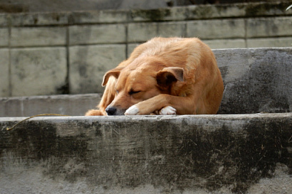 Название статьи