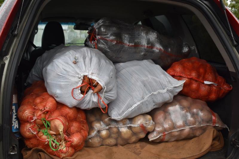 Жители Кинеля отправят бойцам СВО "сухие борщи" из местных овощей