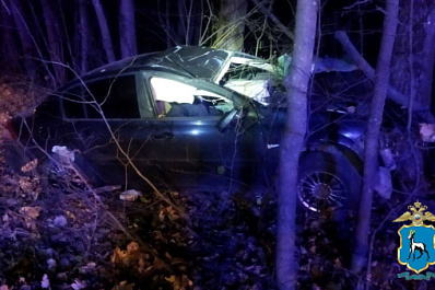 В Самарской области на трассе водитель иномарки сбил лося и погиб