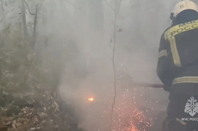 Больше 300 человек борются с огнем в Рачейском лесничестве