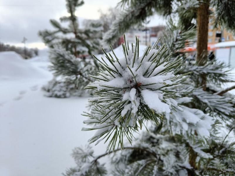 В Самарской области 3 февраля пройдет мокрый снег