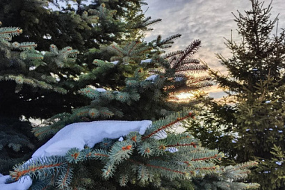 Название статьи